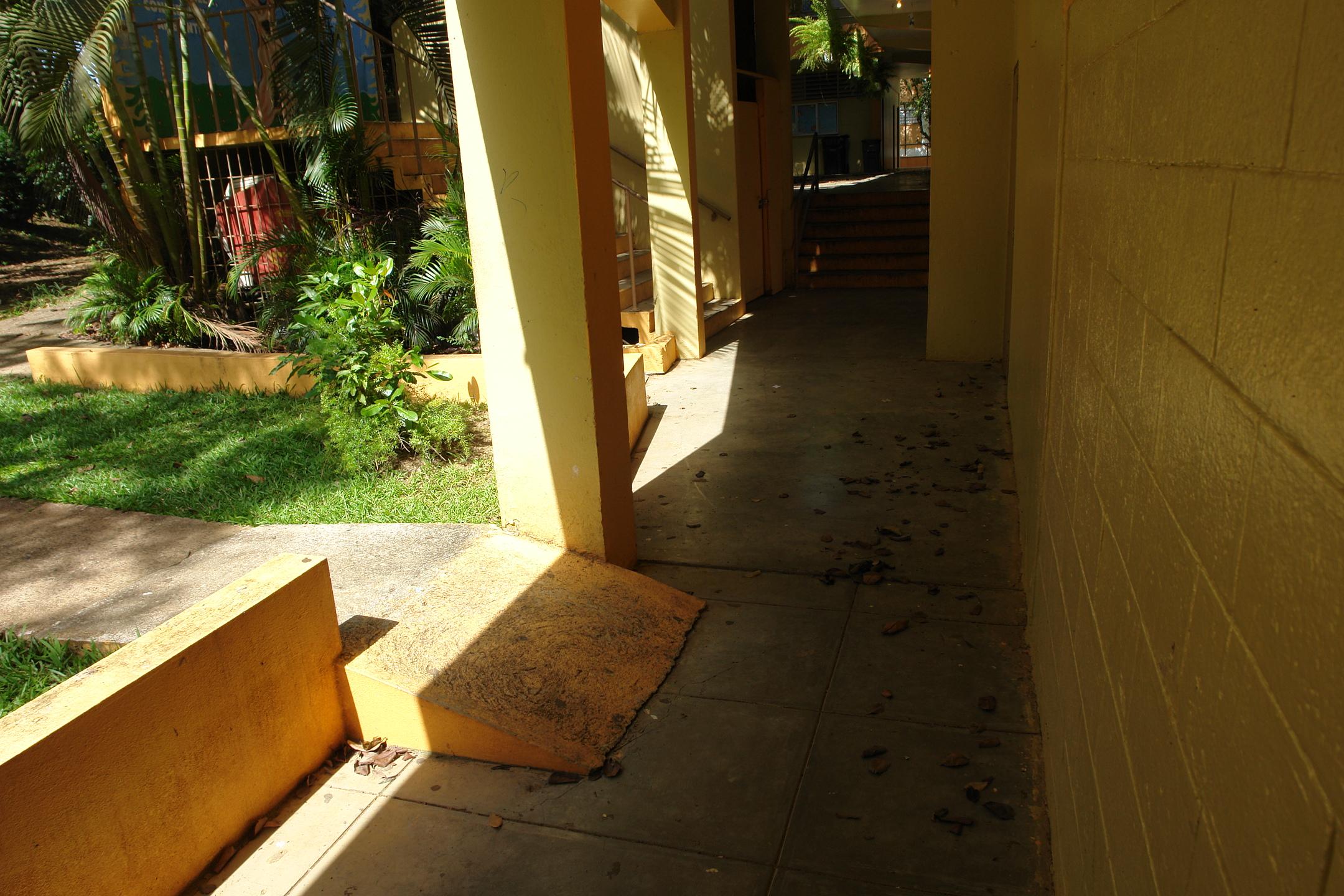 FDII - Aibonito - 2010 00038